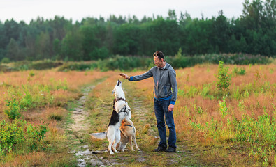 Young guy training dogs in countryside at nature