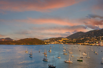 Many sailboats anchored in the bay of a tropical island