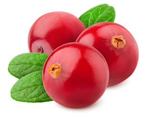 cranberry isolated on white background, clipping path, full depth of field