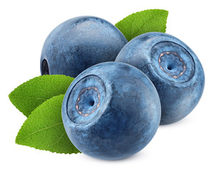 blueberry isolated on white background, clipping path, full depth of field