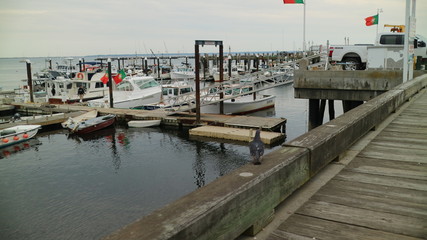 dock