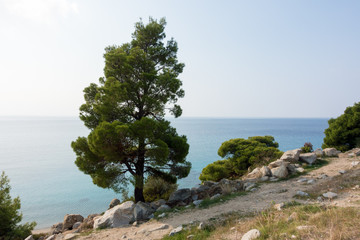 Fototapeta na wymiar Beautiful scenery by the sea in Koviou beach, Sithonia, Chalkidiki, Greece