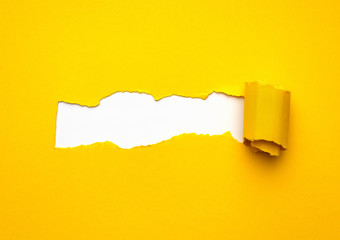 Torn Paper with space for text on white background.