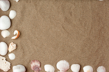 set of conch shells , summer, and white stones on beach sand.top view