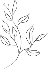 Hand drawn floral vector illustration. Branch on white background. Perfect for pattern, logo, scrapbooking, textile design, fabric, wallpaper, wrapping paper.