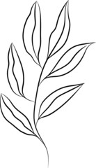 Hand drawn floral vector illustration. Branch on white background. Perfect for pattern, logo, scrapbooking, textile design, fabric, wallpaper, wrapping paper.