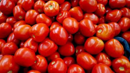 tomates