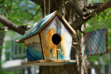 Birds House