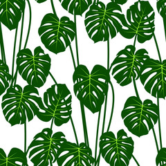 Jungle tropical pattern with monstera leaves bohemian decor