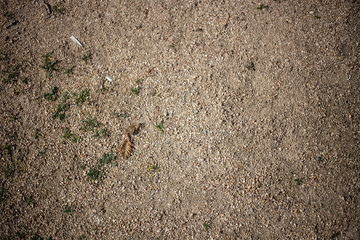Gravel and green