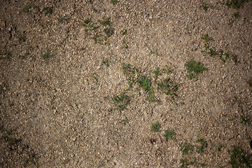 Gravel and green