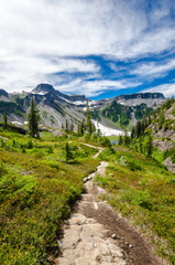 Fragment of Mount Baker trail in, Washington, USA © karamysh