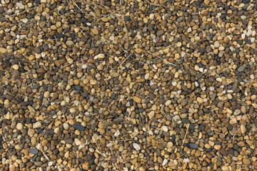 Gravel texture background in garden