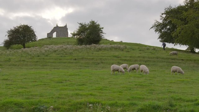 Viewing a hiker trudging uphill towards ruins atop a hill, passing a flock of white sheep