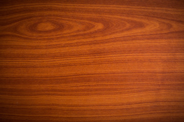 Fototapeta premium Beautiful pattern on wood texture background