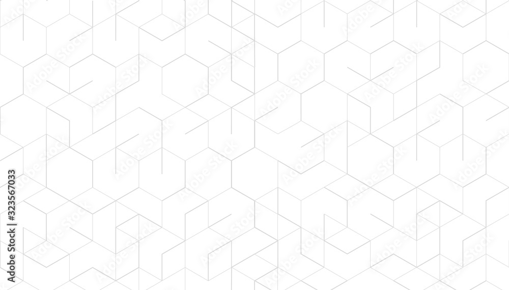 Poster abstract geometric lines on white background. technology and connection concept.