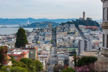 View of a street of San Francisco