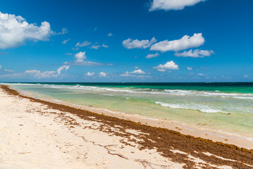 Fototapeta na wymiar Caribbean seascape in Riviera Maya