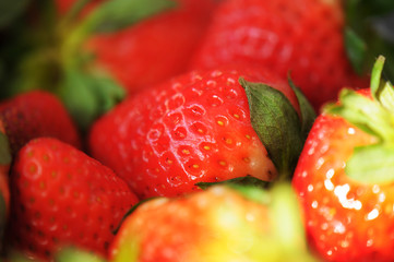 Strawberries Detail