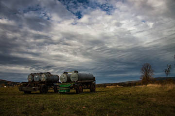 Fototapeta premium cattle watering place