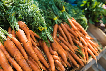 Fresh bunch of carrots for sale
