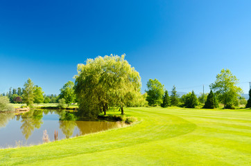 Golf course with gorgeous green and pond.