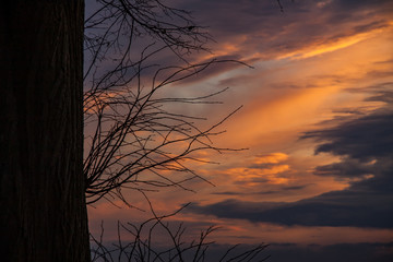 Fototapeta premium colorful clouds in the evening