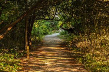 Hiking Trail