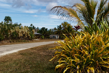 A Niue village