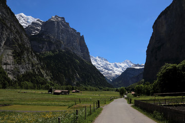 Fototapeta na wymiar A path through the Lauterbrunnen Valley in Switzerland.