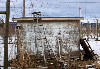Ladder and old shed
