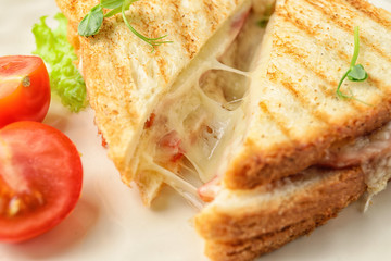 Tasty sandwiches with cheese on table, closeup