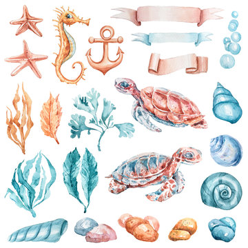 Watercolor hand painted ocean clipart isolated on white background. Can be used for patterns, design greeting cards, birthday invitations, baby shower. Lovely set-turtles, sea horse, seashells, bubble