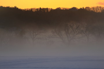 Fototapeta premium 霧の雪景色