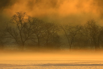 霧の雪景色