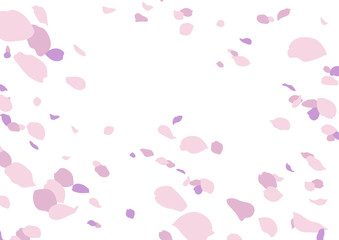 20200216花吹雪横（フチ無し1）