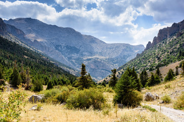 Fototapeta na wymiar Mountain landscape with trees in the Turkish national Park aladag in summer day