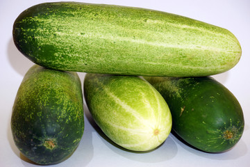 fresh green cucumber on white background