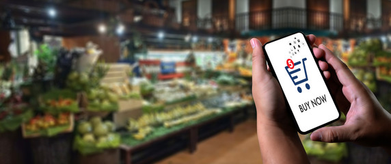 Smart phone online shopping in woman hand. Shopping center mobile shopping