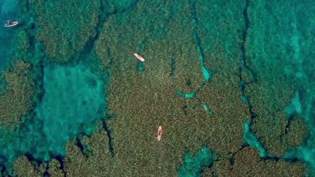 Aerial drone shots of surfers and SUP over tropical coral waters on a sunny summers day. Turquoise clear waves and water Okinawa Japan