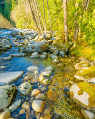 Beautiful Mountain River at the Riverside Park. North Vancouver, British Columbia, Canada.