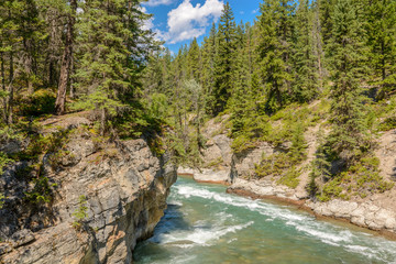 Fragment of Five Lakes trail in Jasper, Alberta, Canada.