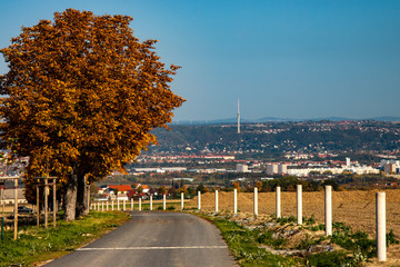 view of Dresden and the television tower
