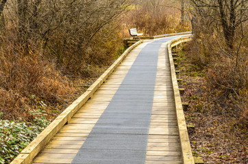 Wooden path at Deer Lake trail in Vancouver, Canada.