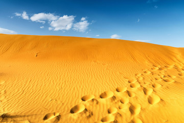 Sahara desert