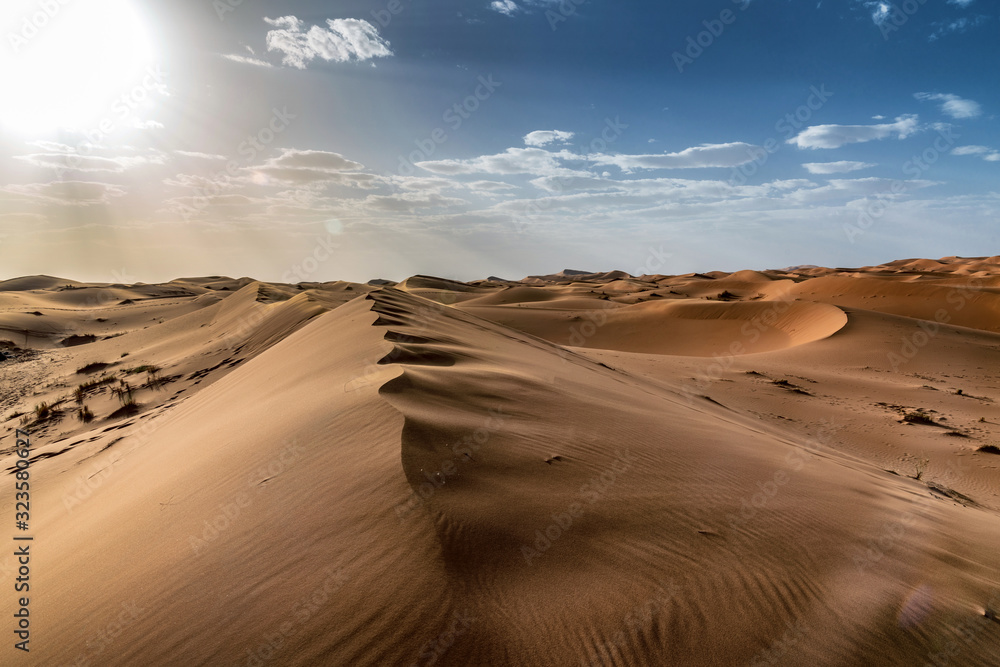 Wall mural Sahara desert