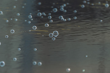 Bubbles on water