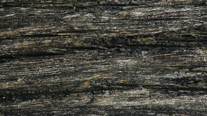 Naklejka premium Old wood texture with cracks
