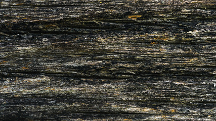 Fototapeta premium Natural dark brown wood texture