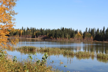 Autumn On Astotin Lake, Elk Island National Park, Alberta